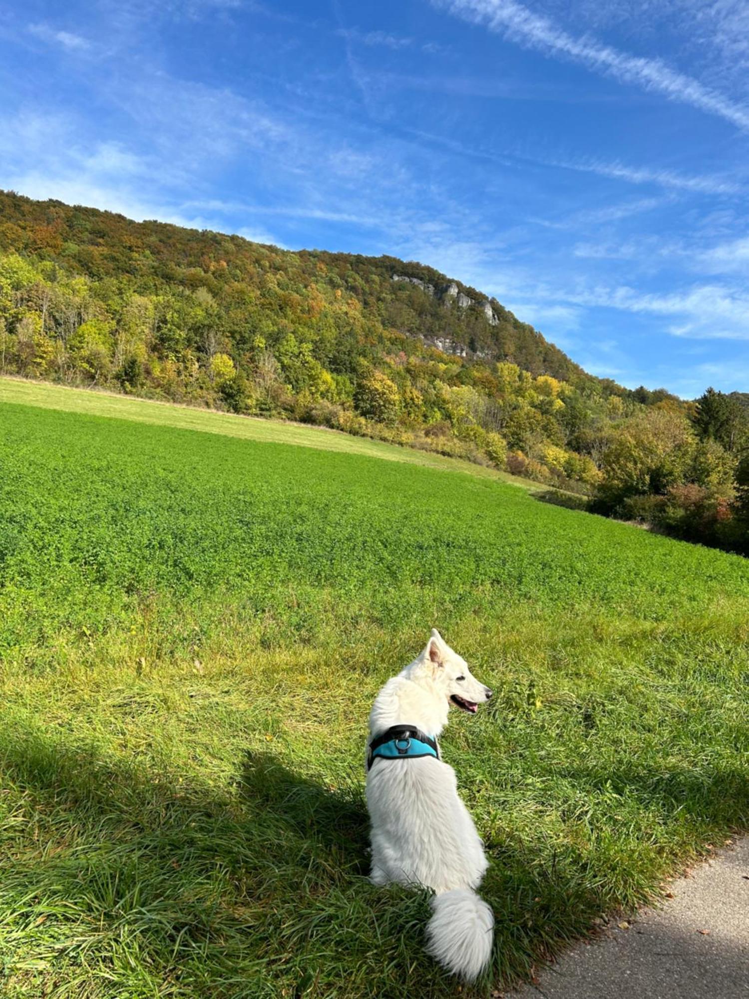 Laendliche Fewo Wildblume, 4 Km Zum Stausee Happurg Bagian luar foto